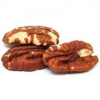 Common Pecan Nuts